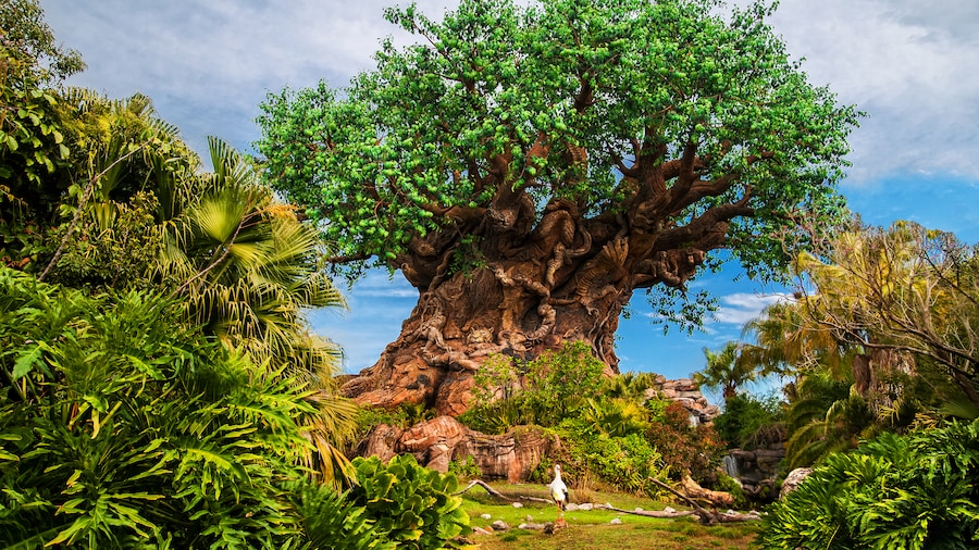 生命之树矗立在迪士尼动物王国主题公园中心郁郁葱葱的绿色植物中